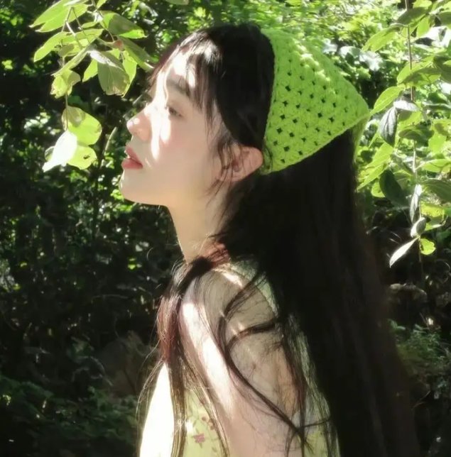 麒麟之翼